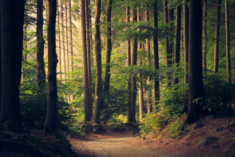 Boundaries as a Spiritual Practice