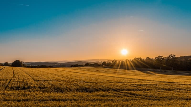 Creating Margin: The Mental Health Benefits of White Space