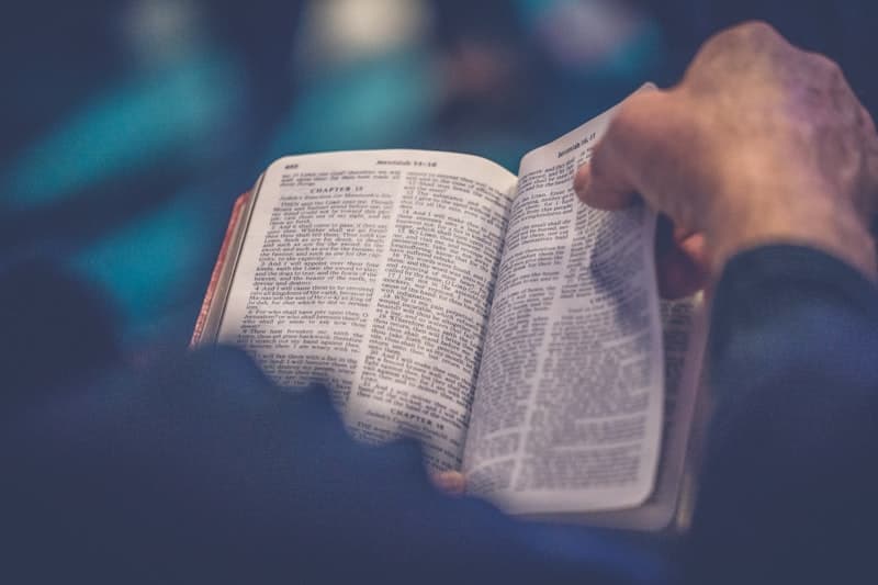 The Amygdala and Anxiety: How Scripture Calms Your Fear Center