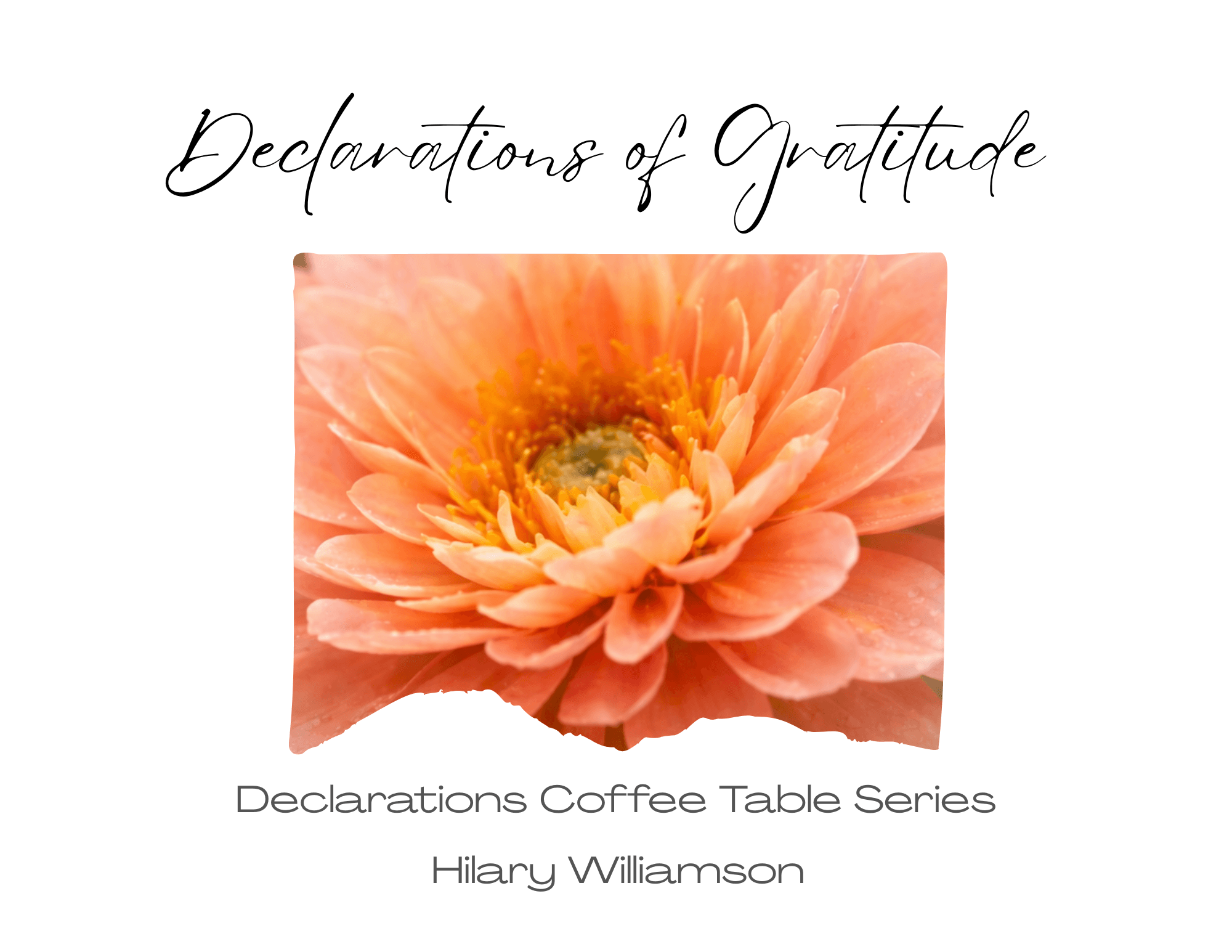Declarations of Gratitude
