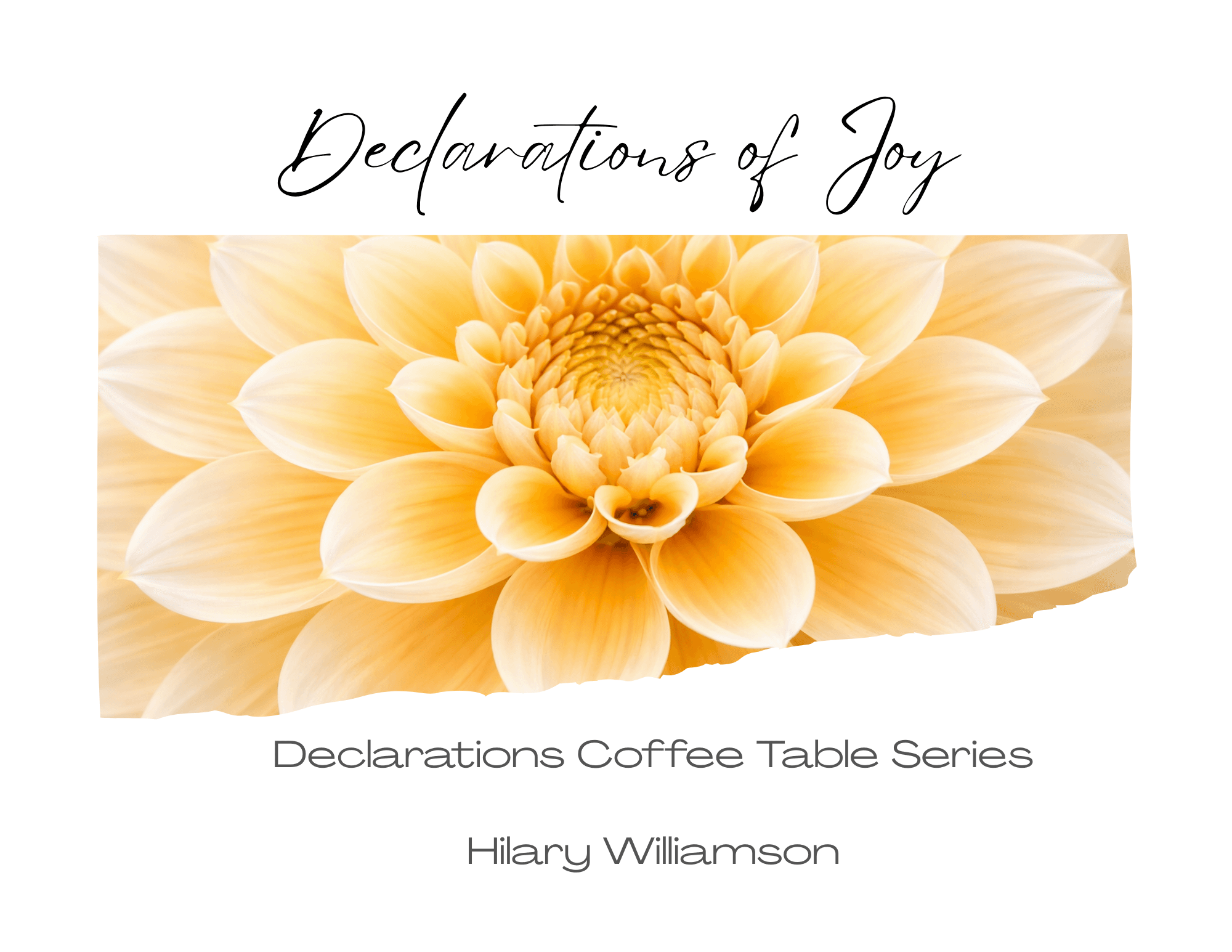 Declarations of Joy